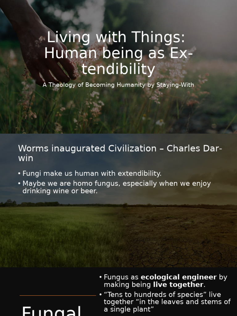 Fungal Networks: Humanity's Connection | PDF | Fungus | Plants
