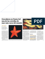 Avance en Ciencia: Descubren en Punta Sal, Piura, Perú La Estrella de Mar Más Rara Del Mundo