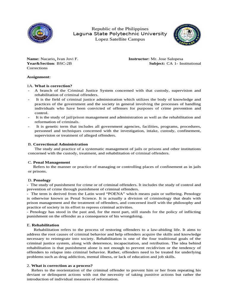 Understanding Corrections and Punishment | PDF | Punishments | Crime ...