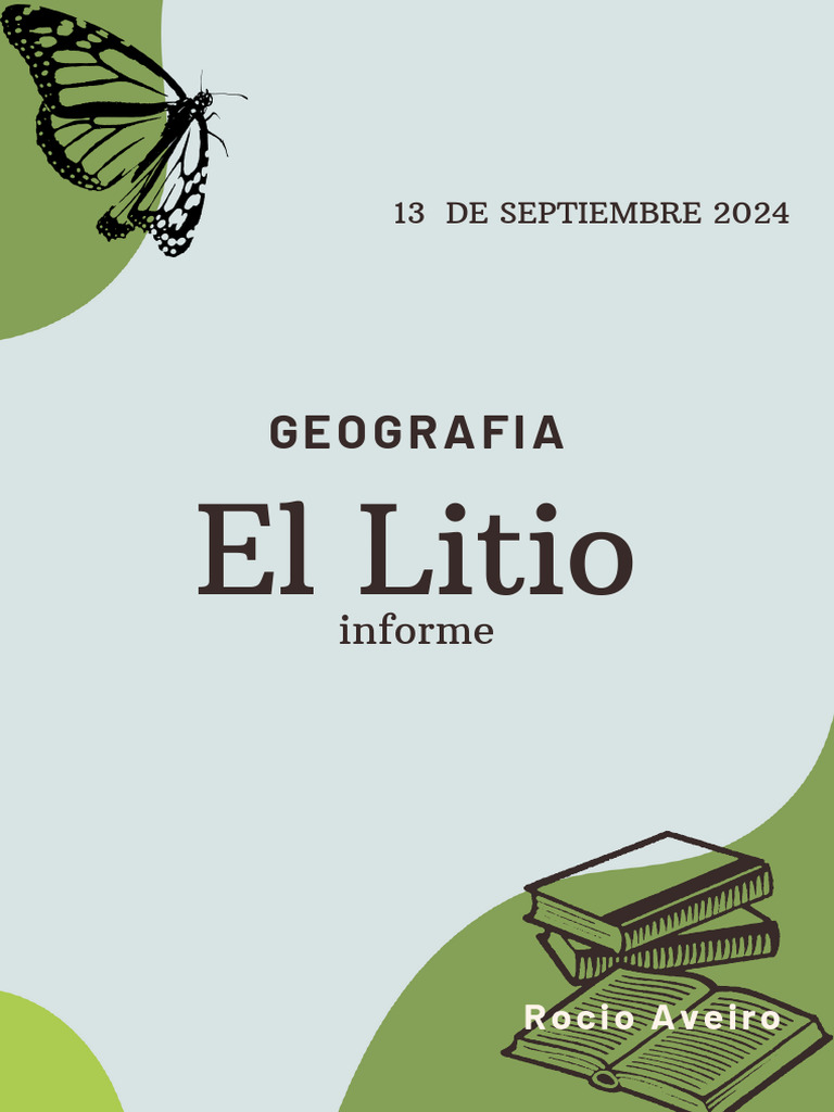 Importancia y extracción del litio en Argentina | PDF | Batería de ...