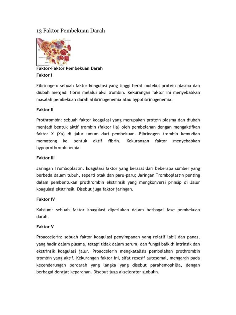 13 Faktor Pembekuan Darah 13 Faktor Pembekuan Darah