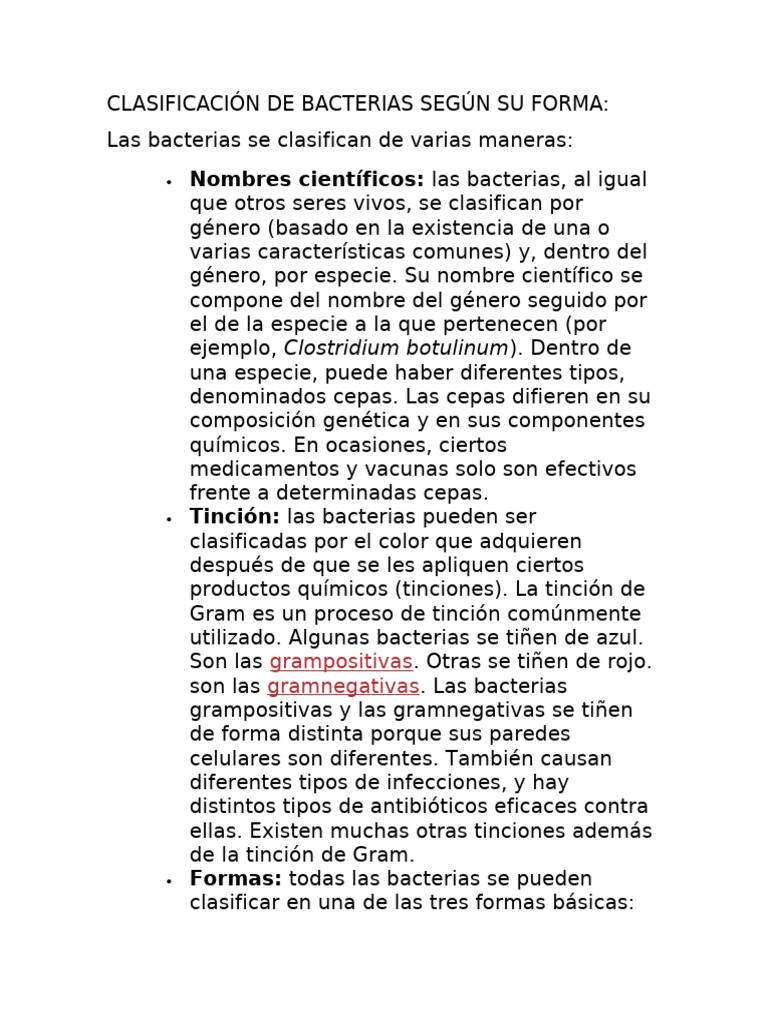 Clasificación de Bacterias Según Su Forma | PDF | Las bacterias ...