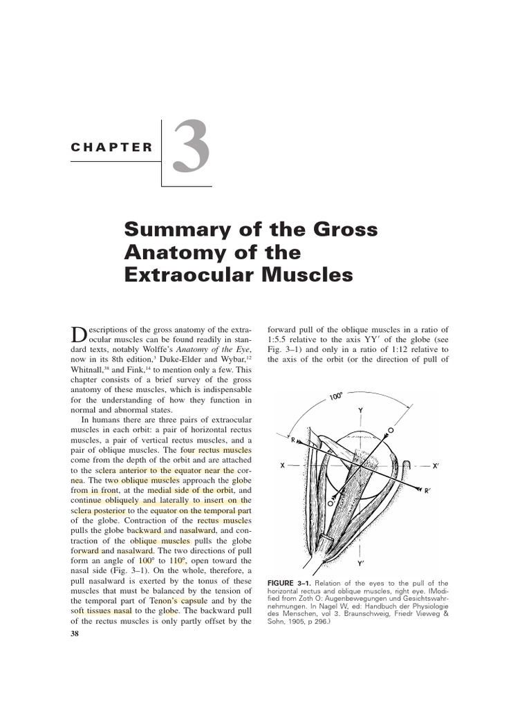 Binocular Vision and Ocular Motility 6th Ed PDF | PDF | Human Eye ...