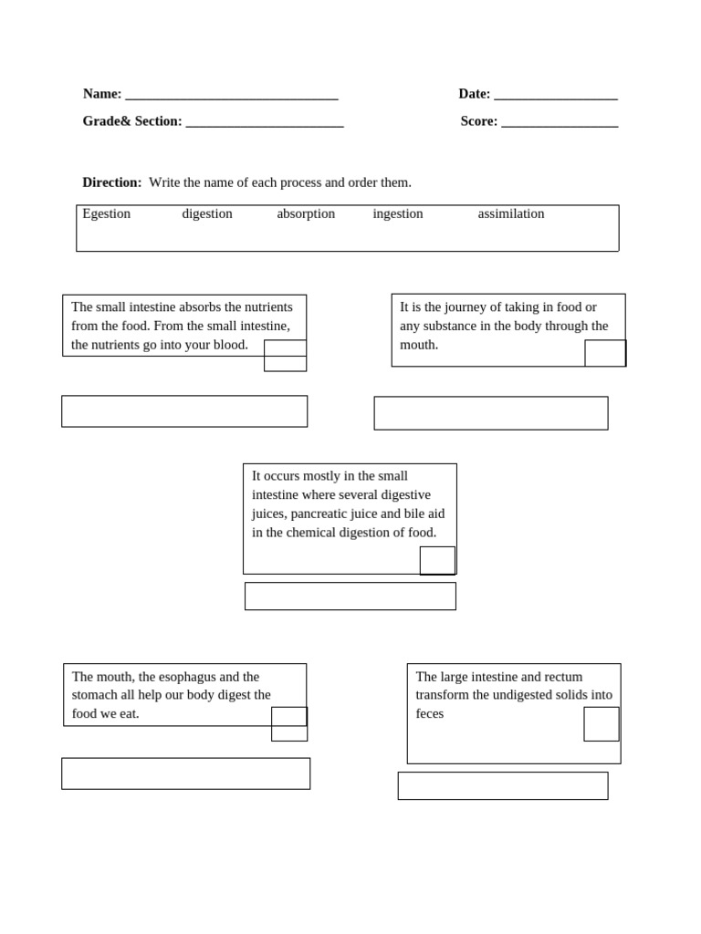 Activity Worksheet in Digestive Process | PDF