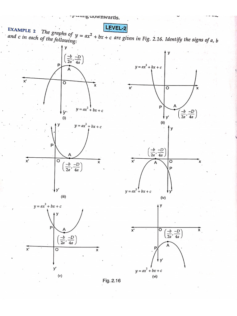 Poly 9 | PDF