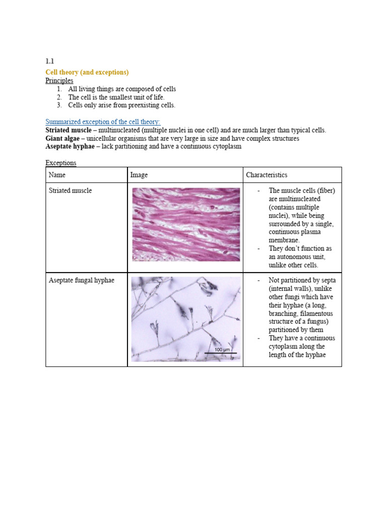 Condensed Unit 1 Study Guide Vocab | PDF | Mitosis | Meiosis
