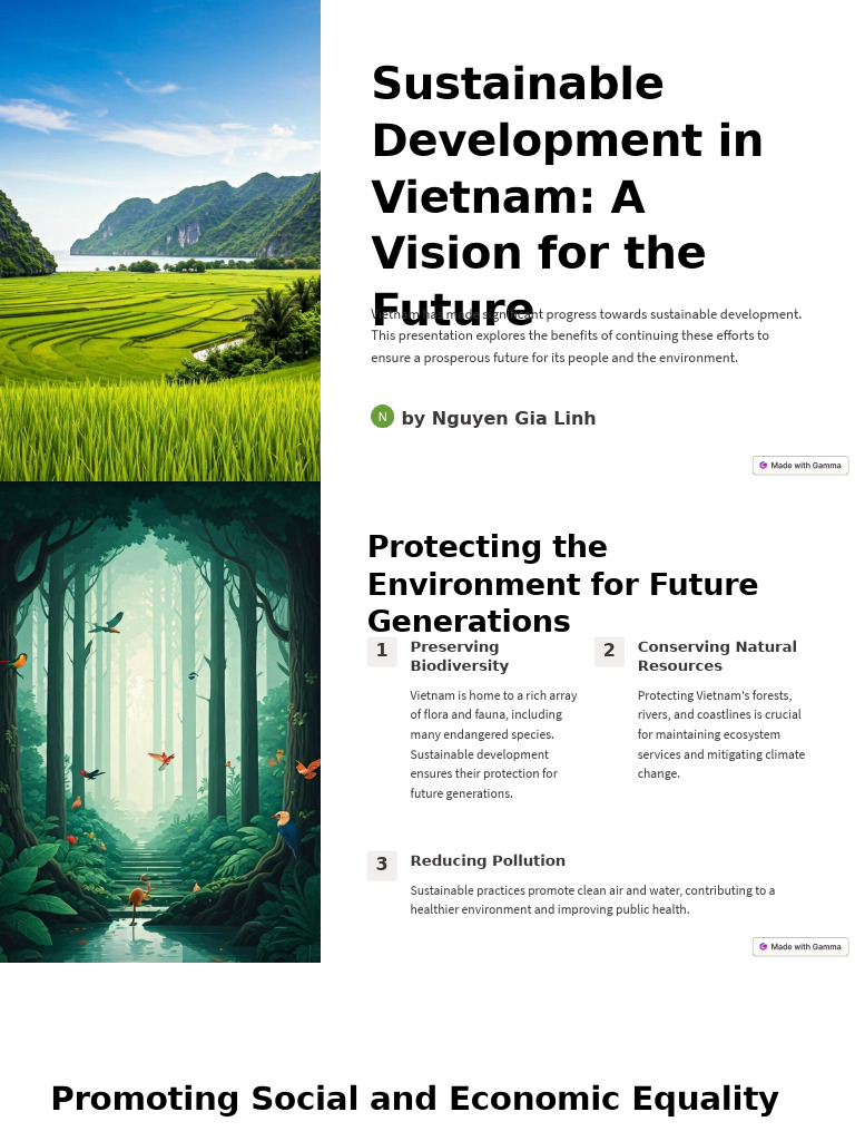 Sustainable Development in Vietnam A Vision For The Future | PDF ...