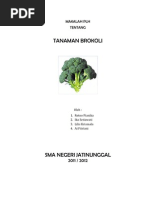 Download MAKALAH TANAMAN BROKOLI by Yayat Ruhyat SN82140183 doc pdf
