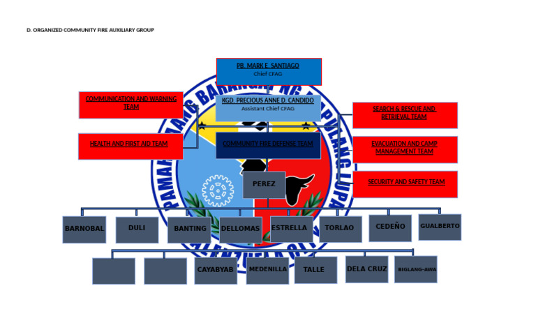 Community Fire Auxiliary Group Overview | PDF