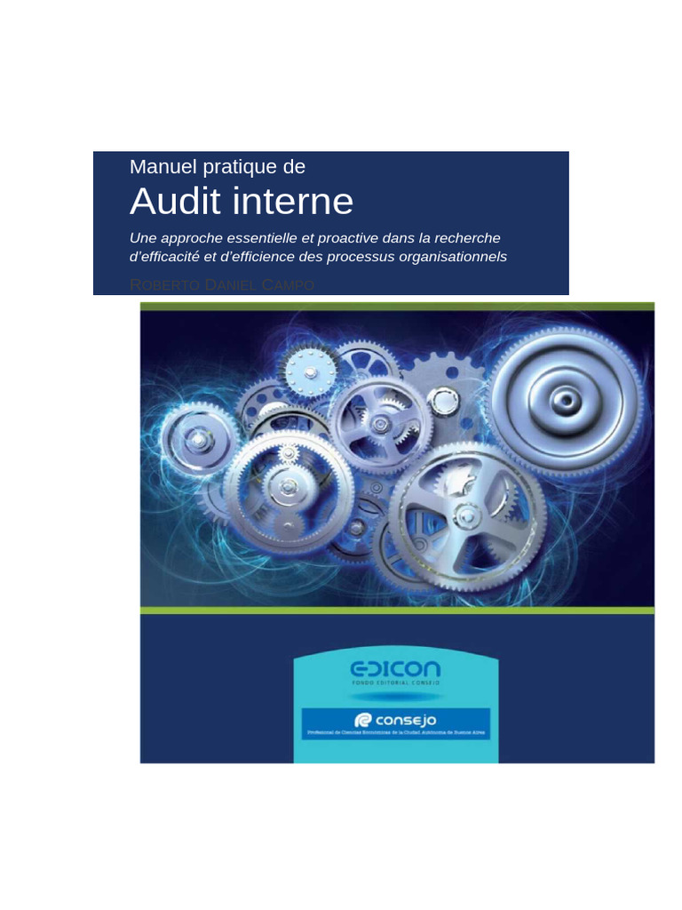 Audit interne : Guide pratique et efficace | PDF | Audit | Contrôle interne