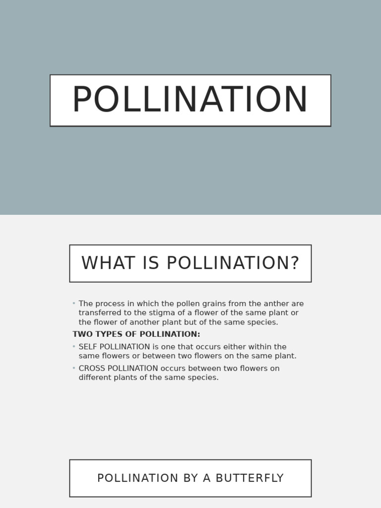 Understanding Pollination Types and Agents | PDF
