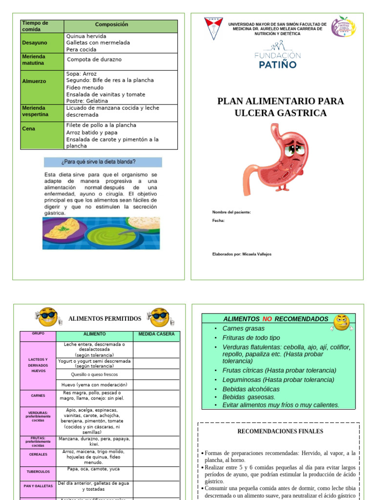 Dietas para Úlcera, Constipación y Lactancia | PDF | Alimentos | Panes