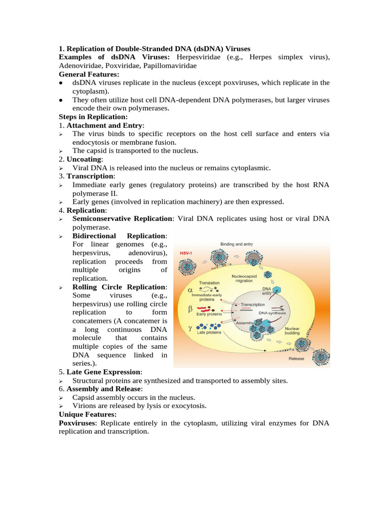Replication of double stranded dna dsdna viruses pdf virus dna