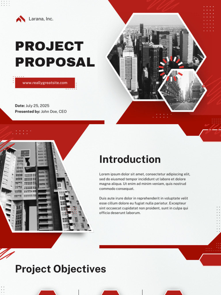Larana Inc. Project Proposal Overview | PDF | Economies | Business