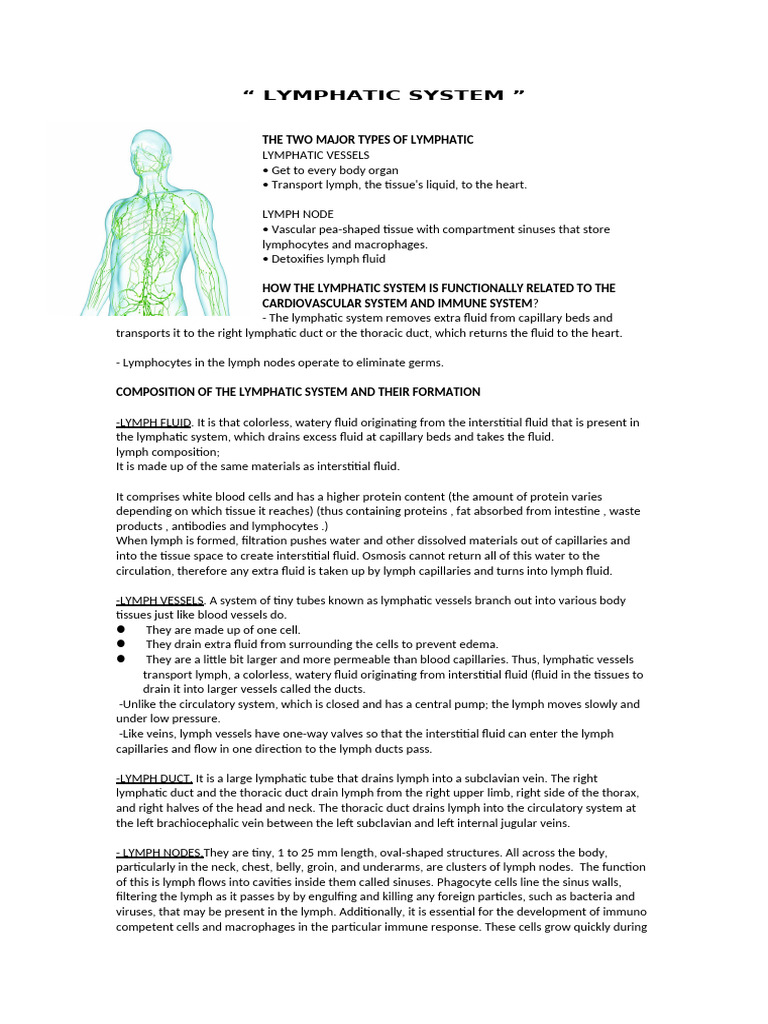 Don Anaphy Lymphatic and Reproductive | PDF | Lymphatic System | Immune ...