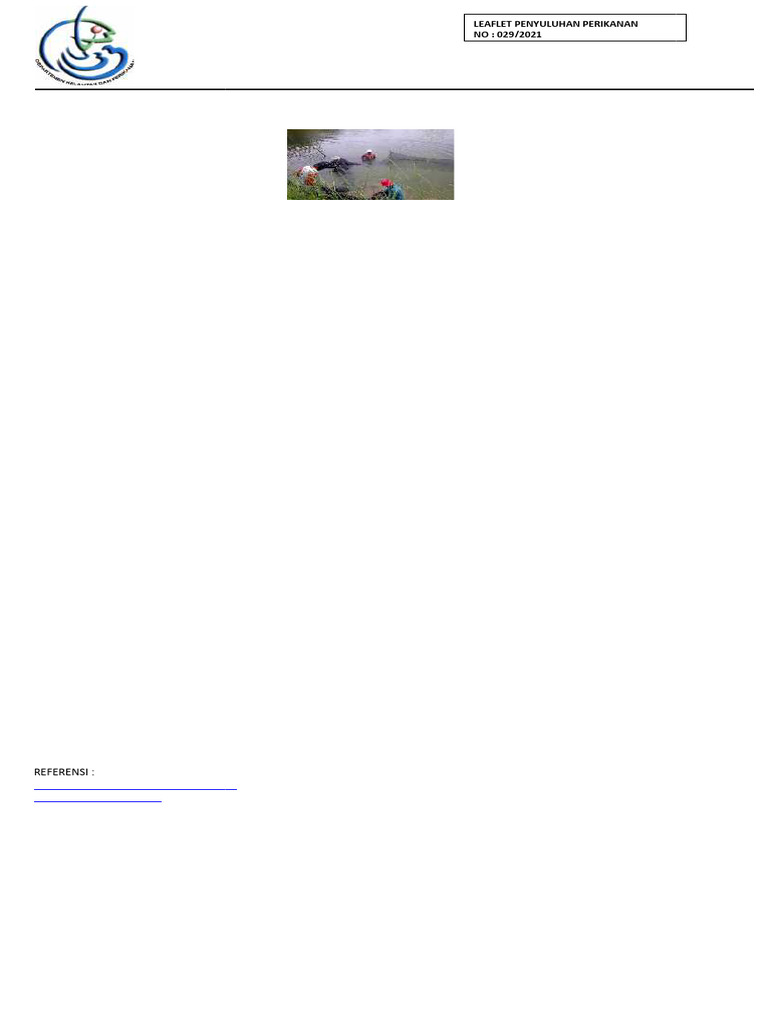 29. CPIB | PDF