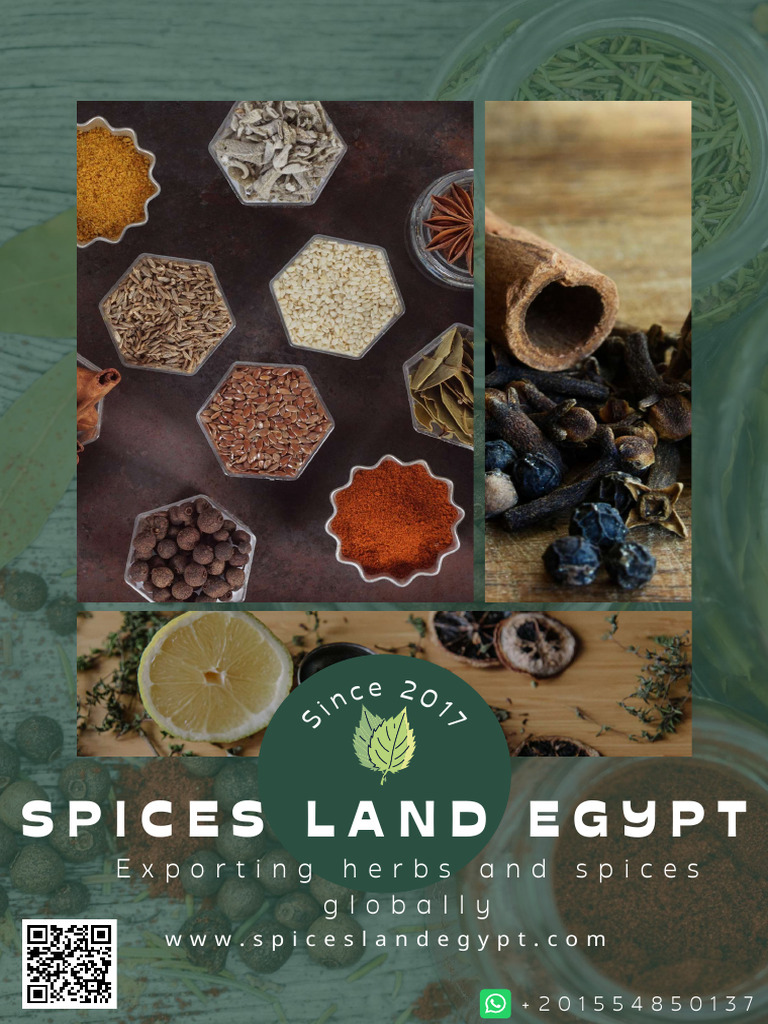 Spices Land Egypt Product Catalog | PDF | Coriander | Herbs And Spices