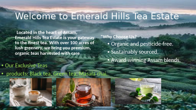Welcome To Emerald Hills Tea Estate | PDF