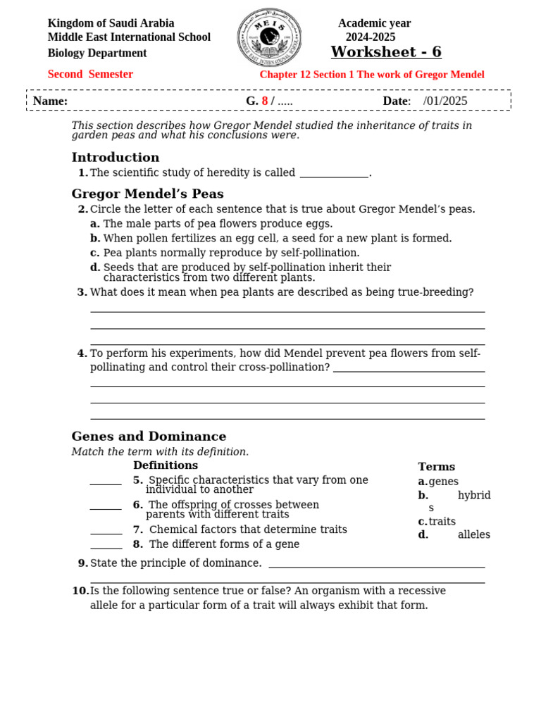 Chapter 12 Section 1 Worksheet (1) | PDF | Dominance (Genetics ...