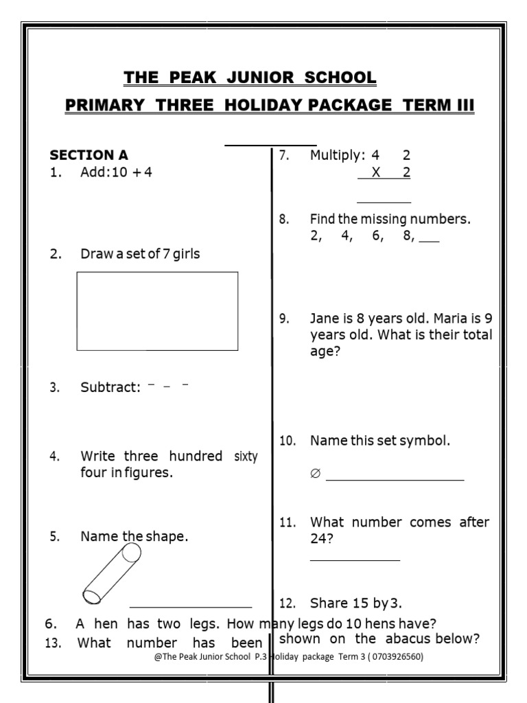 P.3 Holiday Package Term 3 Activities | PDF | Arithmetic | Mathematics