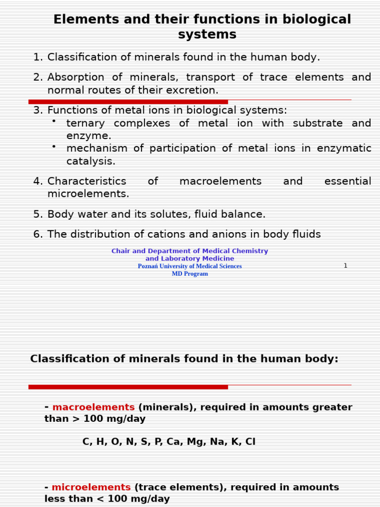 Elements MD 2024_25 | PDF | Iron | Calcium