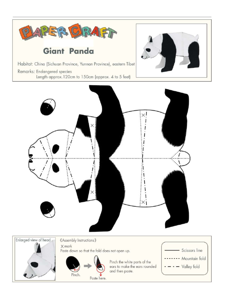 Paper Craft Activity - Giant Panda | PDF