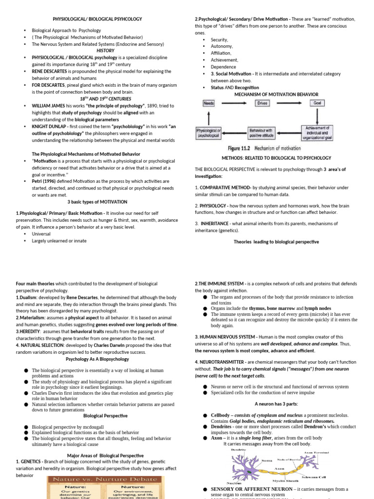 Biological Psychology: Mechanisms of Motivation | PDF | Chemical ...