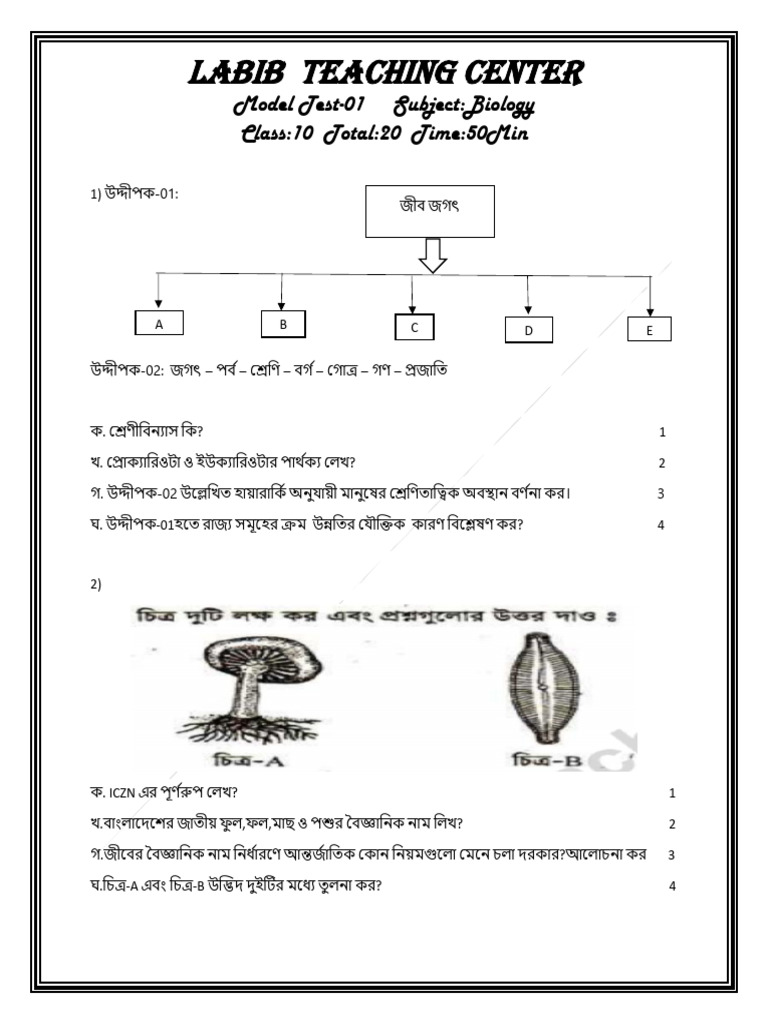 Bio 1 | PDF