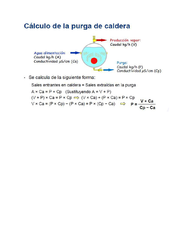 PURGA | PDF