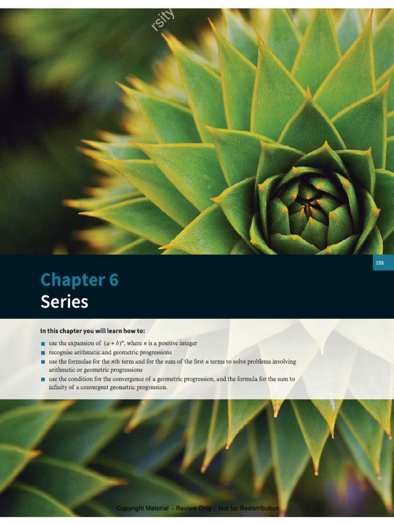 Chapter+6+Series | PDF