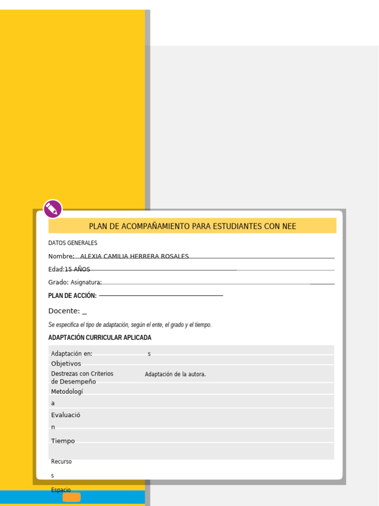 Plan de Acompañamiento NEE Estudiantes | PDF