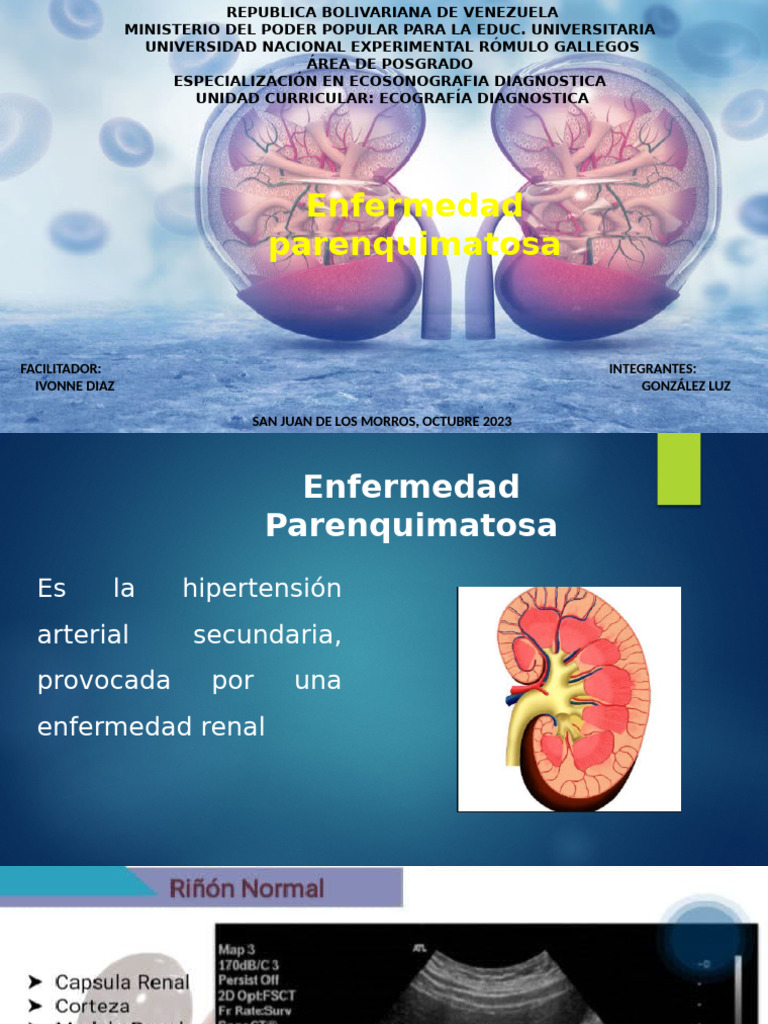 Enfermedad Parenquimatosa | PDF