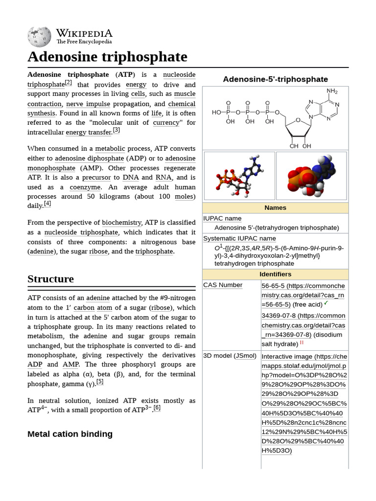 Adenosine Triphosphate (ATP) Overview | PDF | Adenosine Triphosphate ...