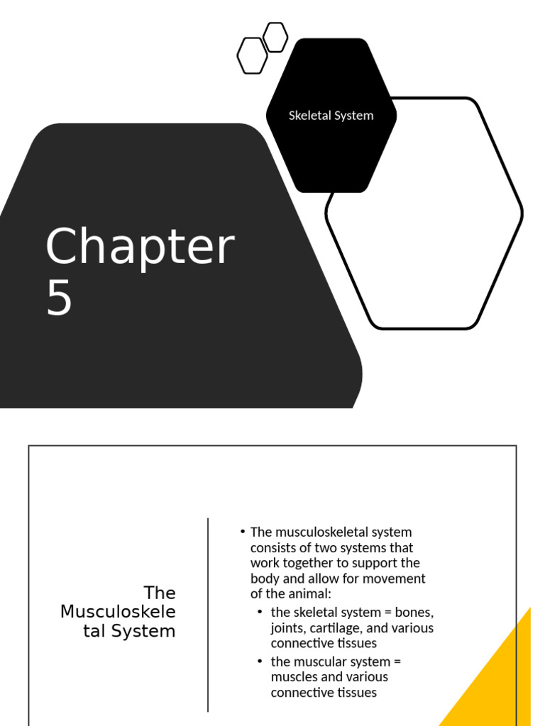 Skeletal Muscle Chapter 5 | PDF | Bone | Skeleton