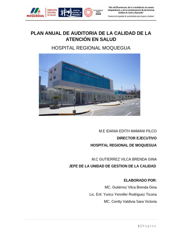 Plan Anual de Auditoría en Salud 2024 | PDF | Auditoría | Historial médico