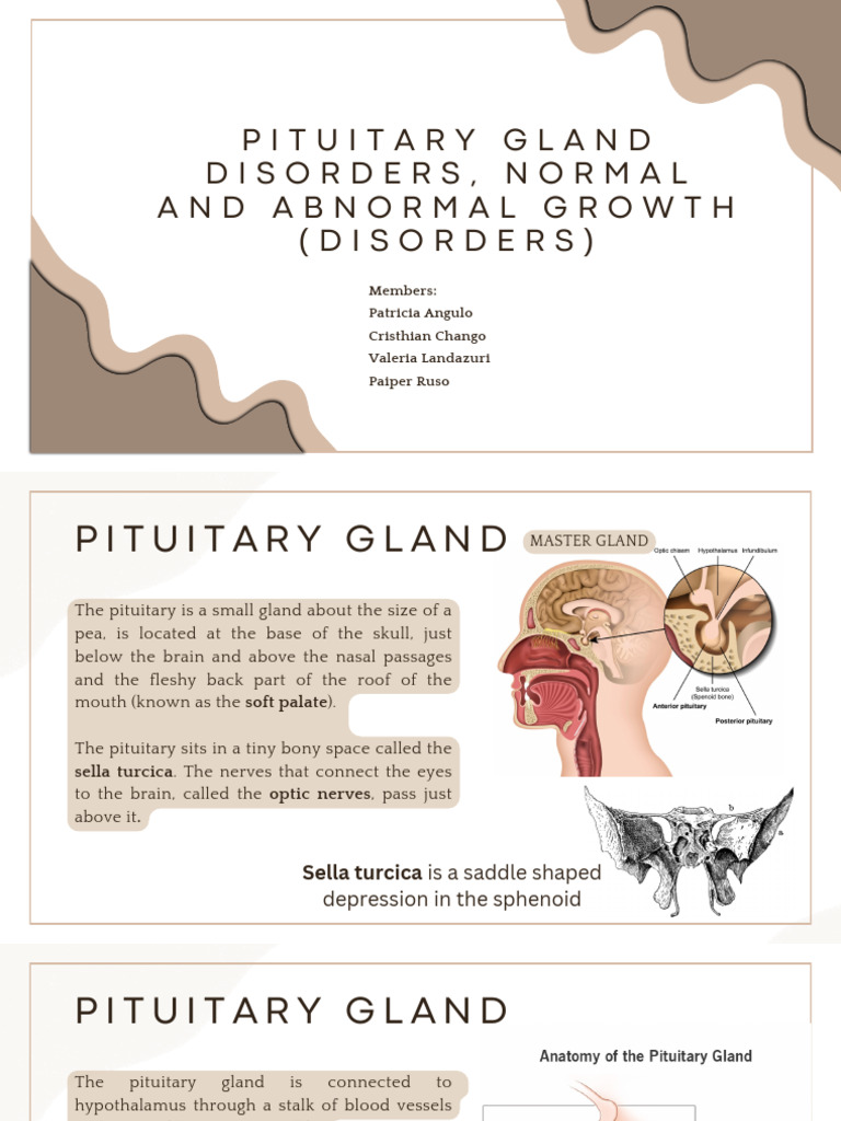 Pituitary Gland Disorders, Normal and Abnormal Growth (Disorders) | PDF ...
