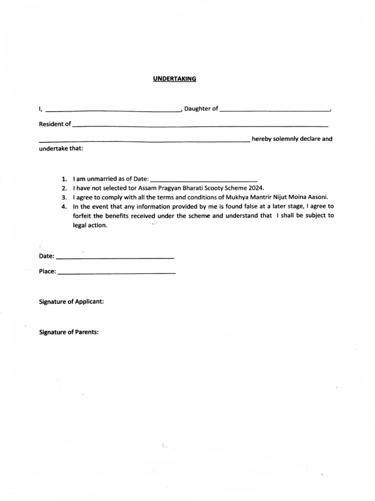Undertaking | PDF