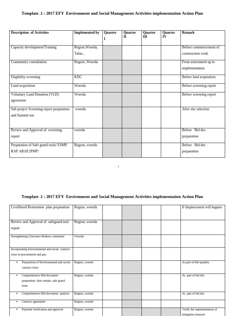 ES Implementation Action Plan | PDF | Business