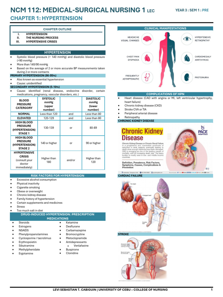 Hypertension Management in Pregnancy | PDF | Hypertension | Blood Pressure