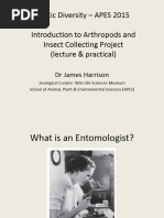 Insect Collection Labeling Guide | PDF | Insects | Arthropods