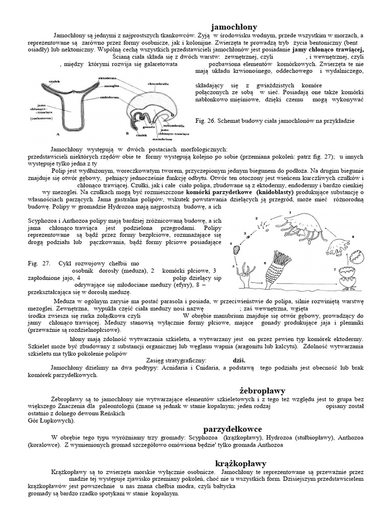 02 - Paleo - Jamochlony | PDF