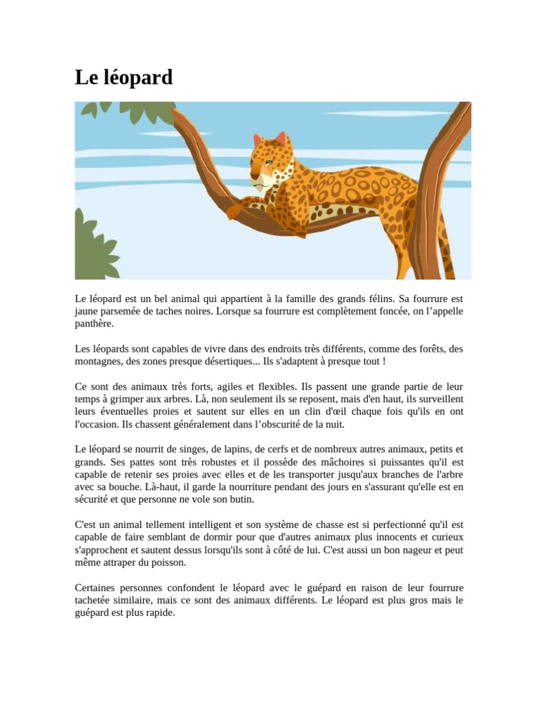Description du léopard | PDF | Léopard | Zoologie