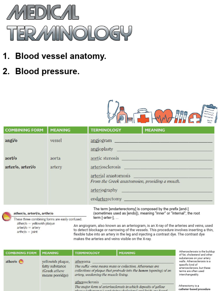What is Fitbit Labs visual data 6