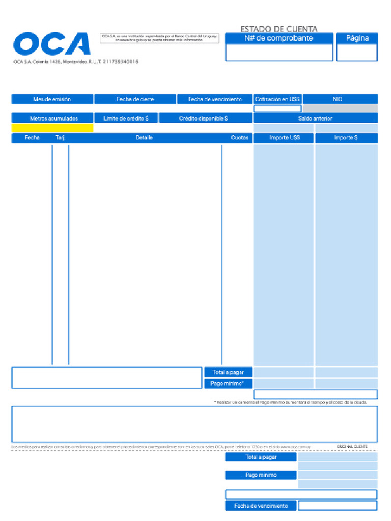 Resumen de Compras con Merpago | PDF