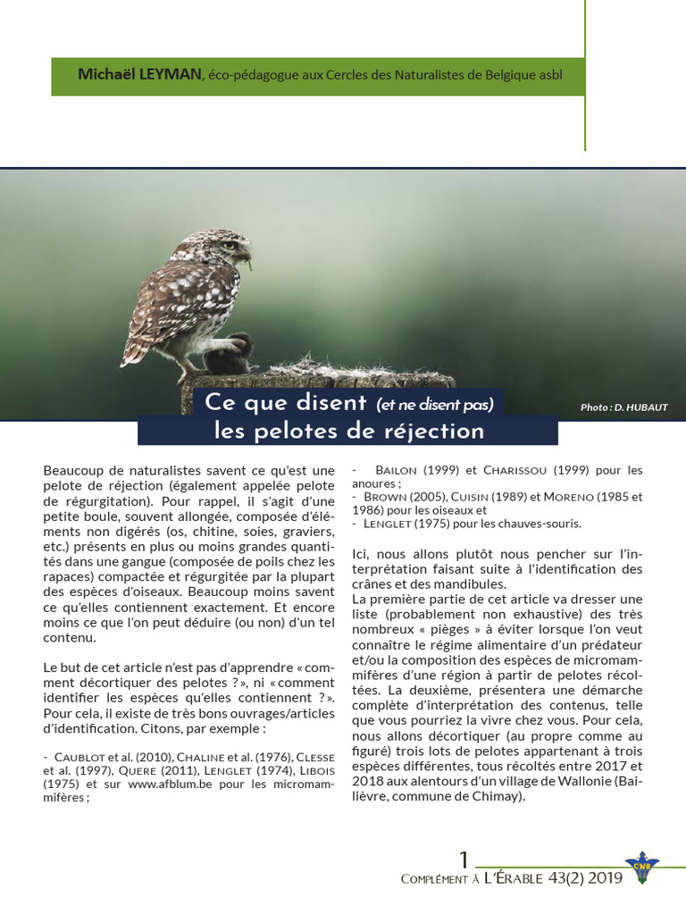 Interprétation des pelotes de réjection PDF Rapaces Prédation — free download