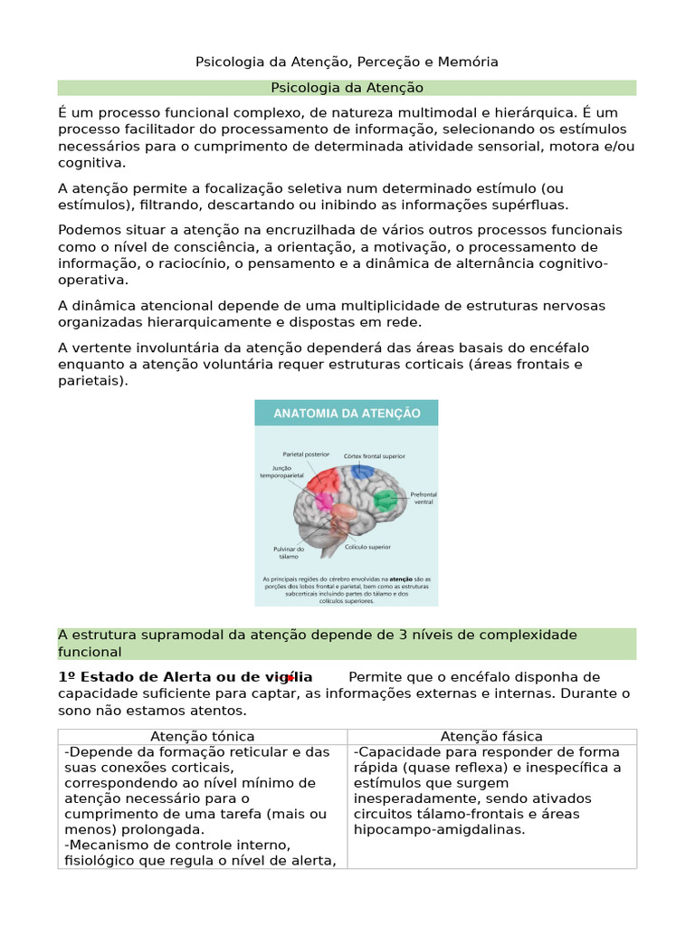 Psicologia da Atenção e Envelhecimento | PDF | Memória | Sistema visual