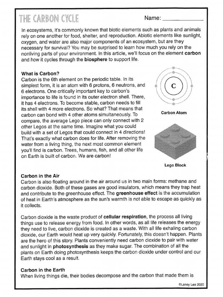 Kami Export Carbon Cycle Worksheet Pdf