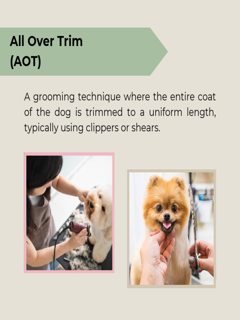 Pet Grooming P2 Pdf
