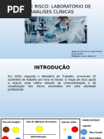 Mapa de Riscos em Laboratório 2025 | PDF