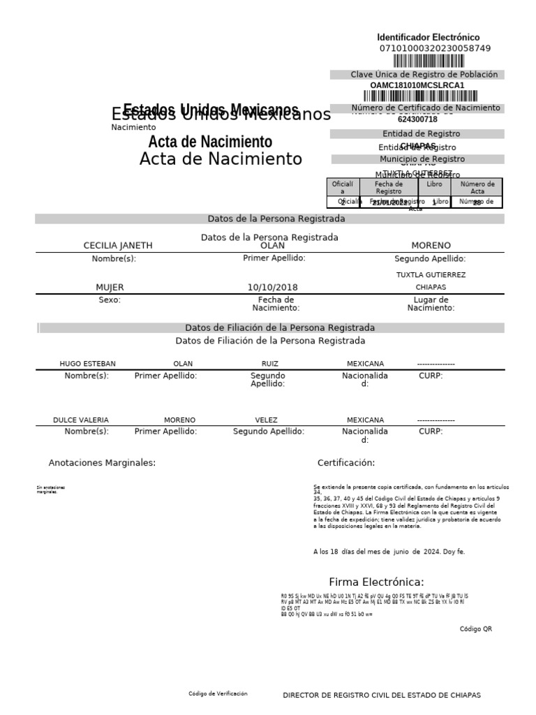 Acta de Nacimiento en Chiapas | PDF | Documentos legales | Privacidad